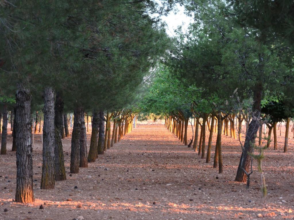 Penzion Casa Rural Santa Ana Miguel Esteban Exteriér fotografie